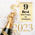 Best Wine Fridge for Champagne [Guide] 2023